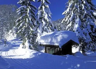 Winterpreise 2021/2022