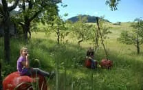 Kirschenfest-Hexenwasser-Soell