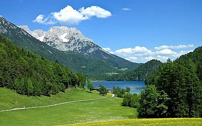 hintersteinersee_mit_blumenwiese.jpg