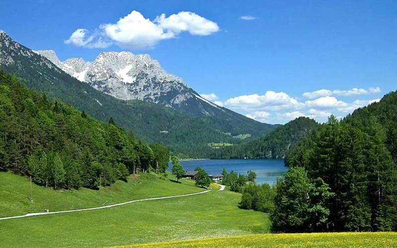 hintersteinersee_mit_blumenwiese.jpg