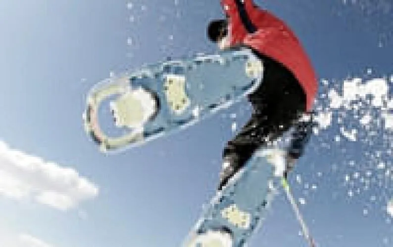 Winterwandern-Soell-erfrischt