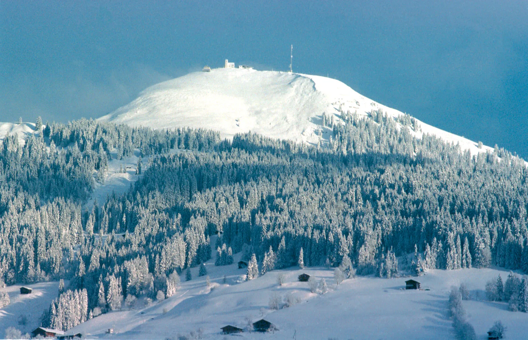 SkiWelt Hohe Salve in Söll