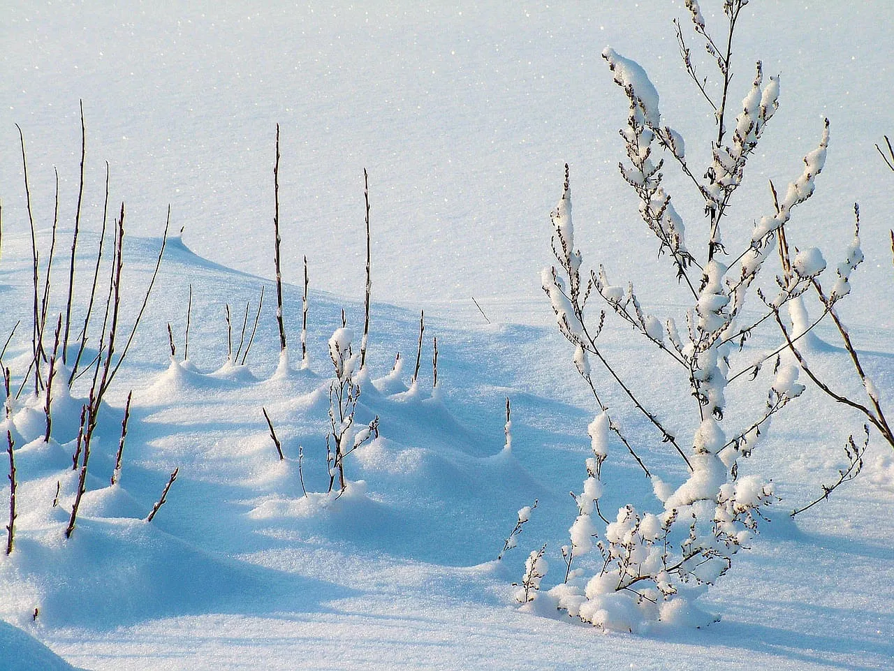 Intensives Erleben und aktiver Urlaub in der SkiWelt Wilder Kaiser für Jedermann